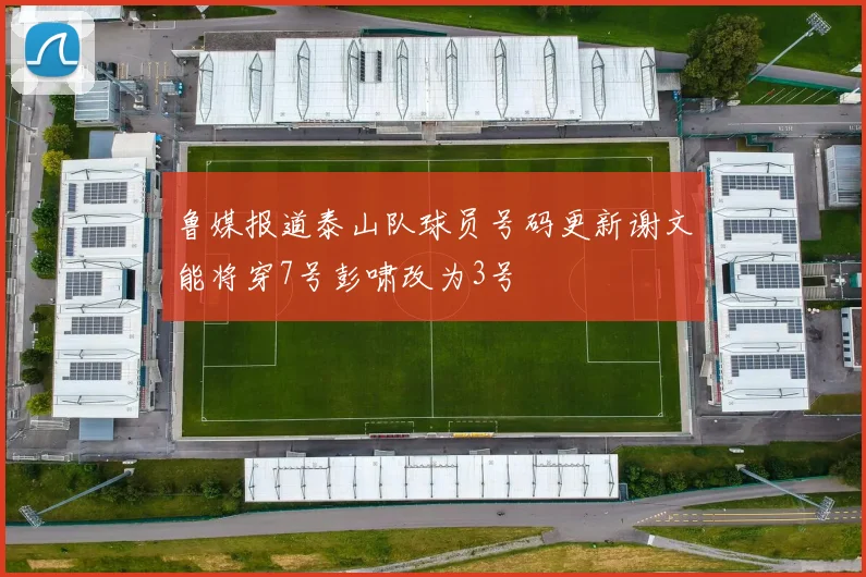 鲁媒报道泰山队球员号码更新谢文能将穿7号彭啸改为3号