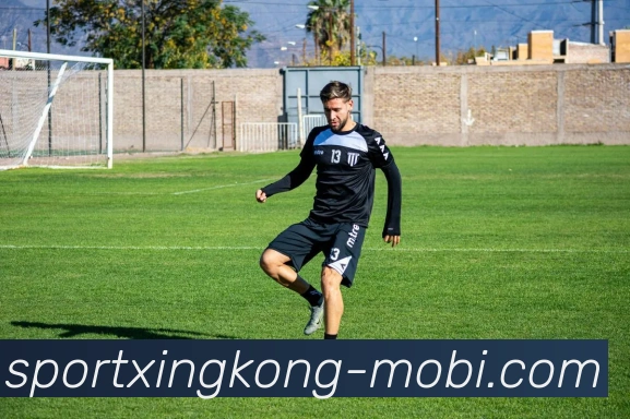 星空体育发展历程