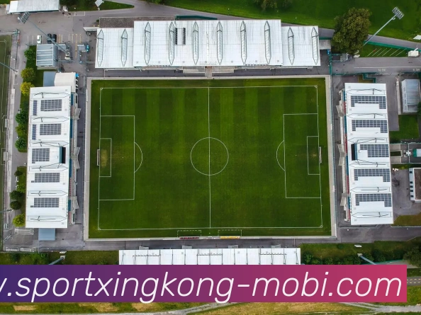 科索沃世欧预赛双杀瑞典零失球比国足高三位有望进附加赛